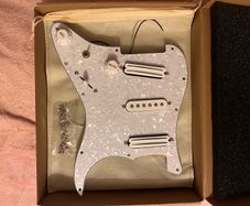 Preloaded Pickguard