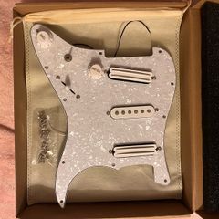 Preloaded Pickguard