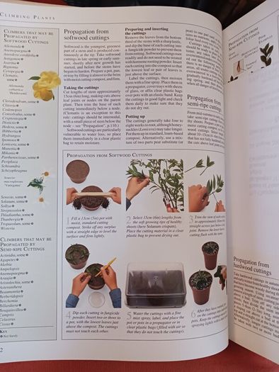 DK/ The RHS Encyclopedia of Gardening