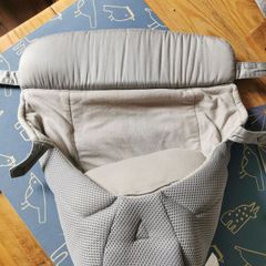 Ergobaby newborn insert