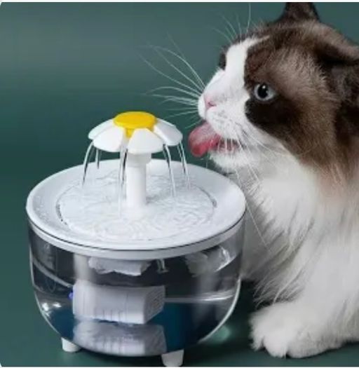 drinking fountain for cats