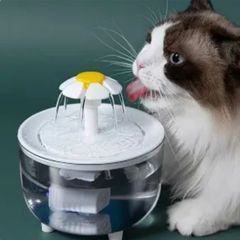 drinking fountain for cats