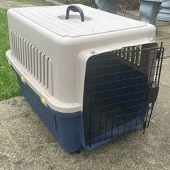 Dog box carrier