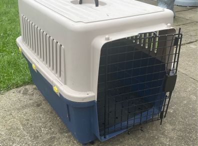 Dog box carrier