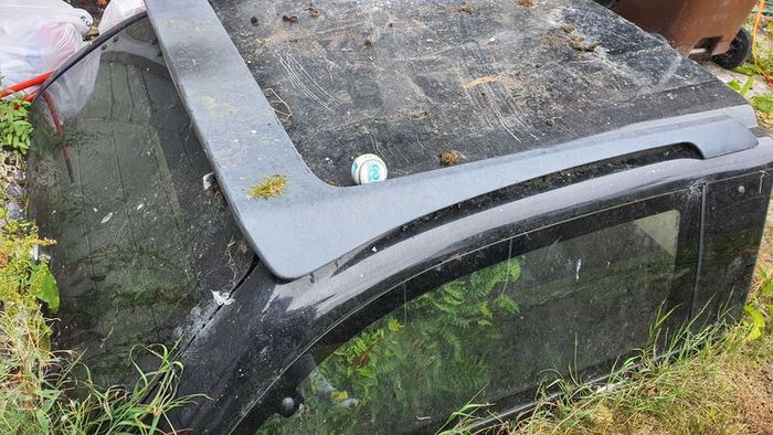 l200 canopy