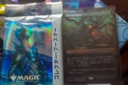 Magic the Gathering - Verdant Catacombs (Jpn)