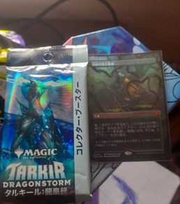 Magic the Gathering - Verdant Catacombs (Jpn)