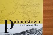 Palmerstown by Nessa O'Connor