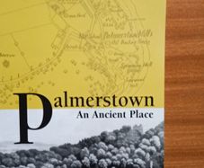 Palmerstown by Nessa O'Connor
