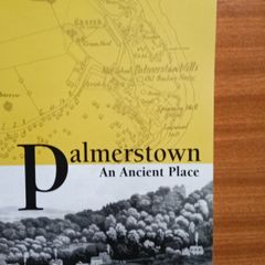 Palmerstown by Nessa O'Connor