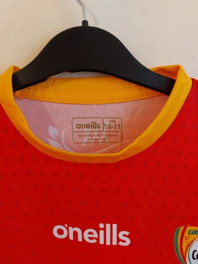 carlow gaa jersey