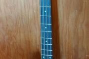 Spector Performer 4