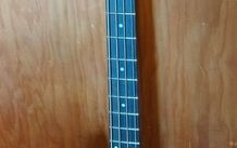 Spector Performer 4