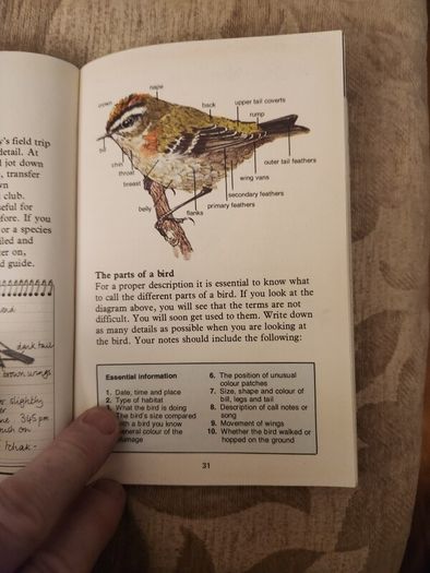 Whizz Kids. Birdwatching First Edition Vintage 1979 Paperback In Good Condition. 36.