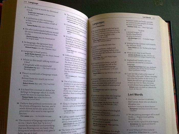 Dictionary &Thesaurus 4 volume matching set