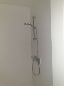 Thermostatic Shower