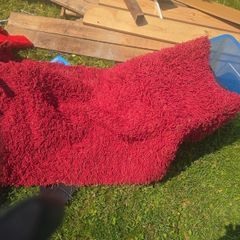 red rug