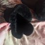 Fluffy Pads For Crocs Image 3
