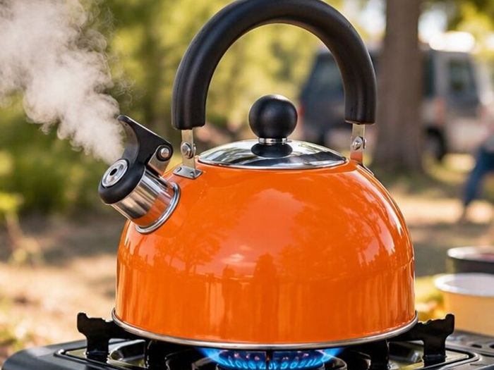 2L Stainless Steel Kettle - Orange