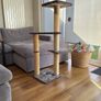 Cat Scratching Post Image 5