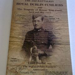 The 2nd Battalion Royal Dublin Fusiliers and the tragedy of Mouse Trap Farm April and May 1915 Ireland WW1