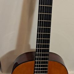 Valencia Acoustic V103K Guitar