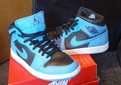 trainers