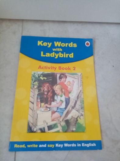 Ladybird activity book
