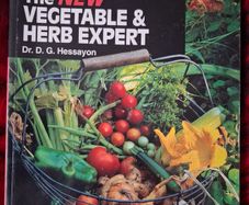 The New Vegetable & Herb Expert / Dr. D. G. Hessayon / 1999