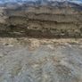 Pit silage Image 2