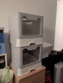 cat litter box
