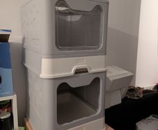cat litter box