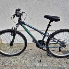 Kids Mountain Bike