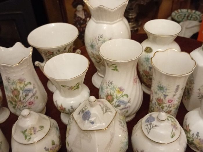 Aynsley"Wild Tudor" Collection