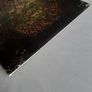 Newsted -Heavy metal music (Gold) Image 5