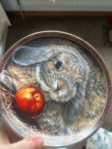 rabbit plate