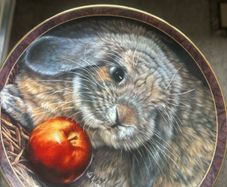 rabbit plate