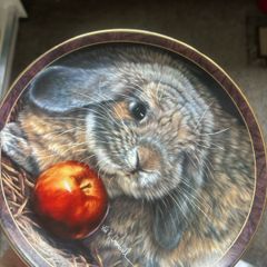 rabbit plate