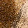 Carpet samples Image 2