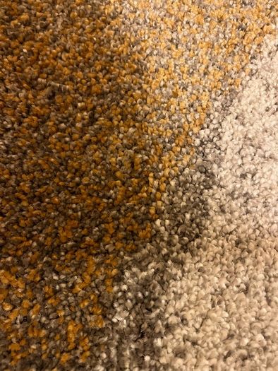 Carpet samples