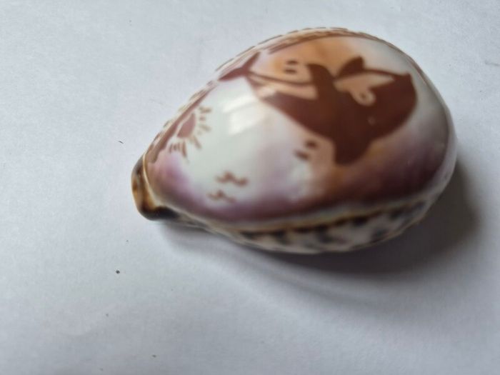 Shell ornament