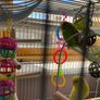 bird cage Image 2