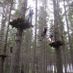 treetotree23twothreetoo
