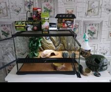Terrarium / Vivarium Reptile Tank