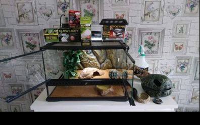 Terrarium / Vivarium Reptile Tank
