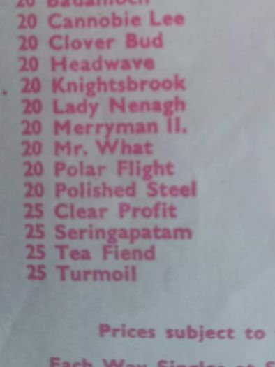 Rare Vintage Grand National Racing Slip