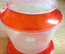 Kids fish bowl