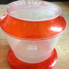 Kids fish bowl