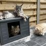 Cat House Outdoor Indoor High quality luxurious double-walled Image 3