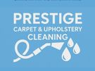 Professional Carpet and Upholstery Cleaning Image 6